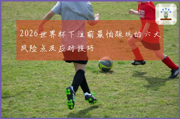 2026世界杯下注前最怕踩坑的六大风险点及应对技巧
